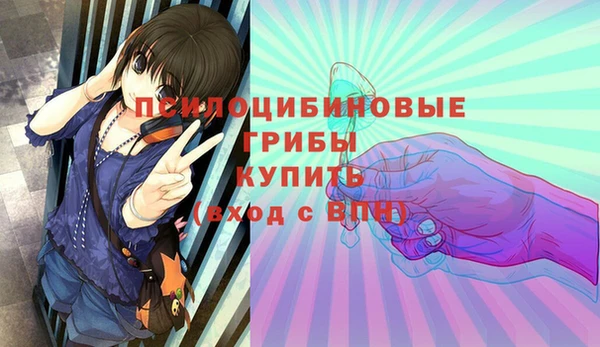 дживик Армянск