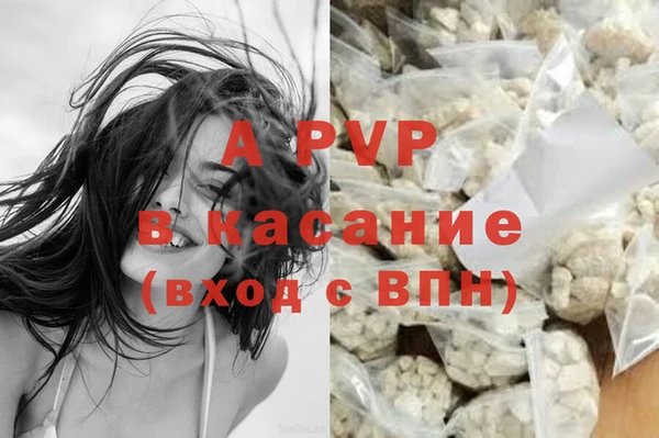 твердый Аркадак