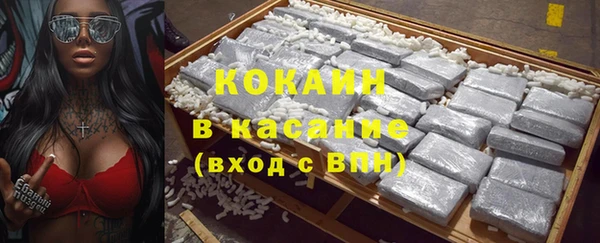 твердый Аркадак