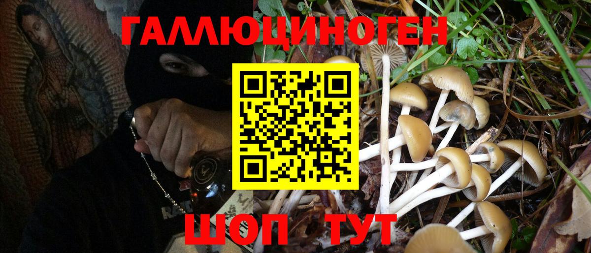 Светлоград  Псилоцибиновые грибы Magic Shrooms  Вход с VPN  закладка  Галлюциногенные грибы Magic Shrooms 