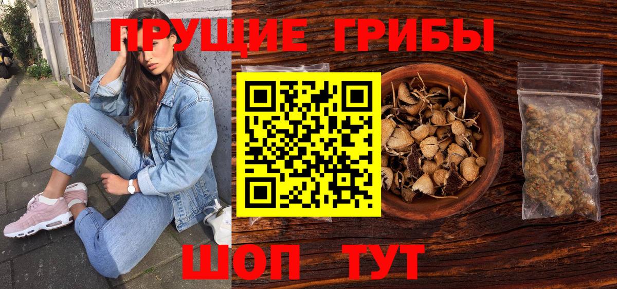 Галлюциногенные грибы Psilocybine cubensis Светлоград
